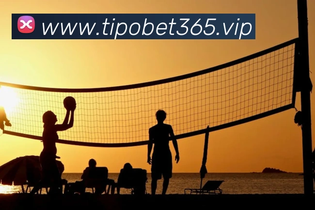 bet365全站App